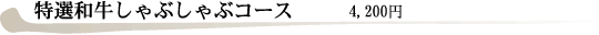特選和牛しゃぶしゃぶコース